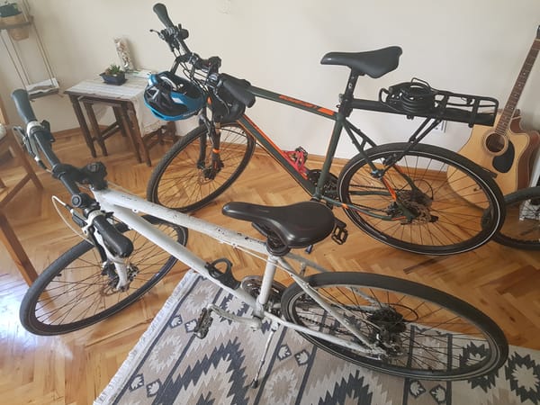 koca yaşlı şişko dünya